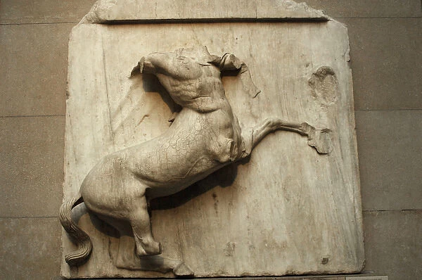 Metope. Parthenon marbles. Centaur. 5th century BC