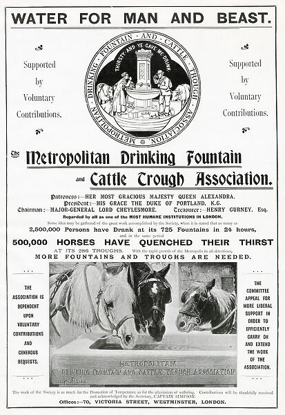 Metropolitan drinking Fountain and cattle trough association