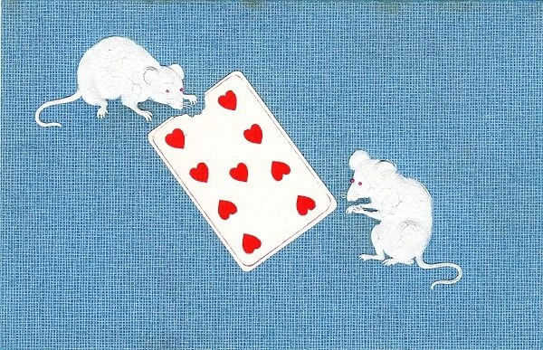 Two mice eating a playing card on a postcard