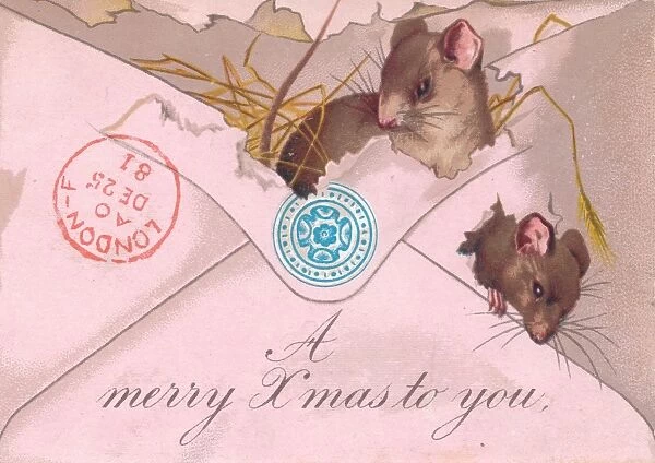 Two mice in an envelope on a Christmas card