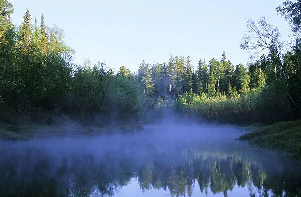 Morning mist over river Negustyah, a tributary