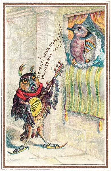 Musical owl with banjo serenading on a romantic card