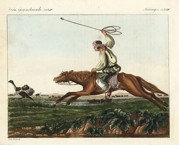 Native American gaucho on horseback using