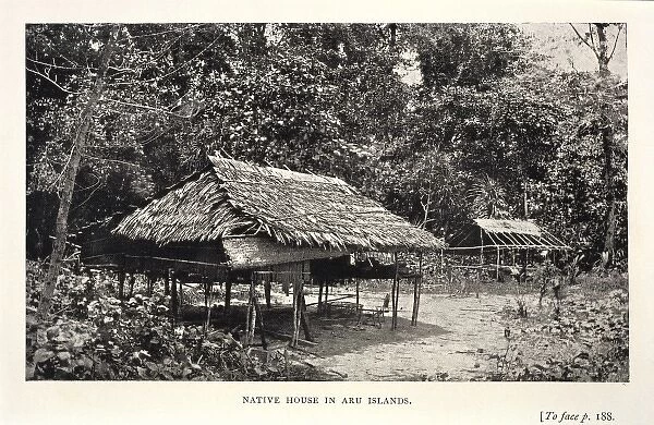 Native house in Aru