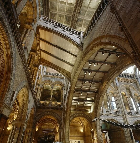 The Natural History Museums Central Hall