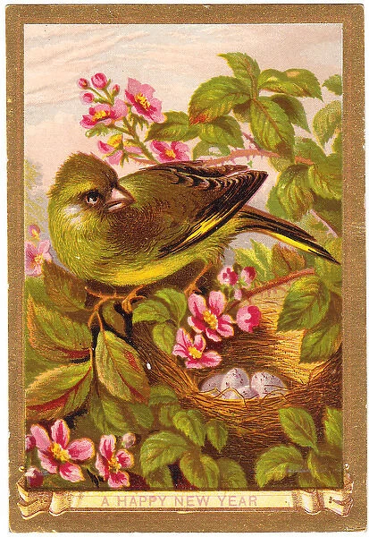 Nesting bird on a New Year card