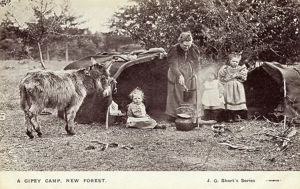 New Forest Gypsy Camp
