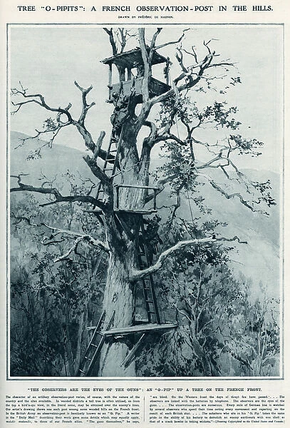 O- Pip A French observation post in a tree