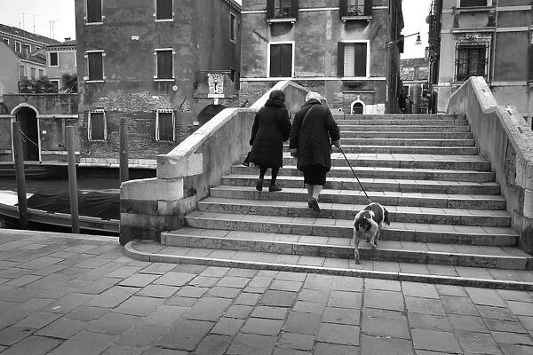 Two old women walk an old dog up the stone steps