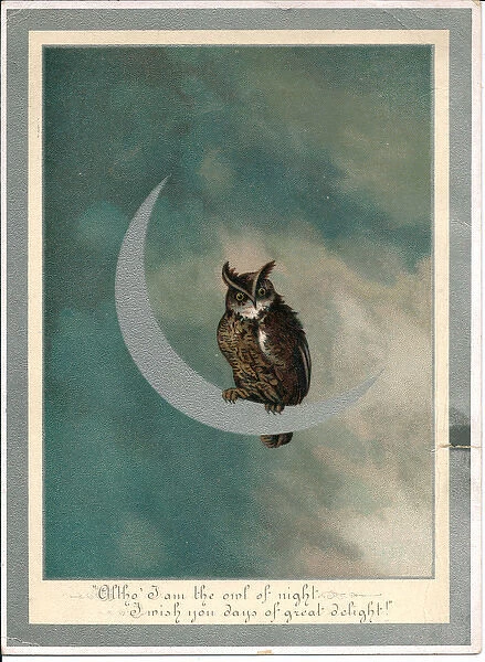 Owl on a crescent moon on a greetings card