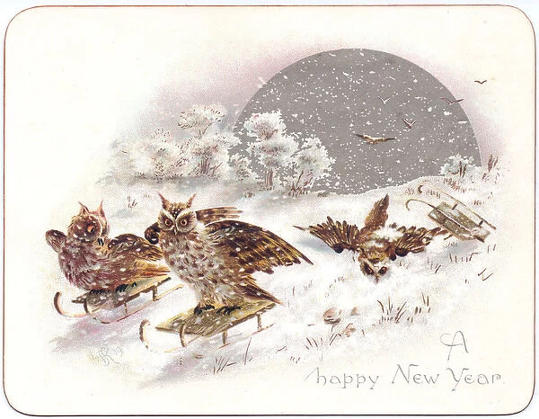 Three owls on a New Year card