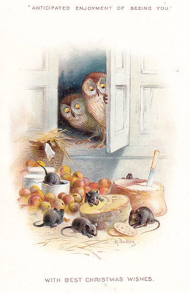 Two owls watching mice on a Christmas card
