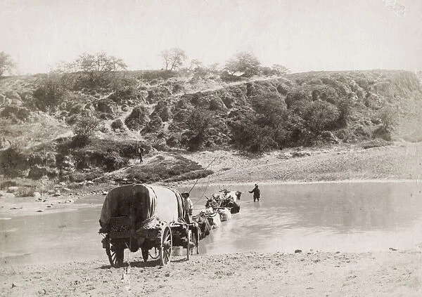 Ox drawn wagon train crossing a river, South Africa