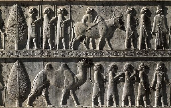 Palace of Darius, Persepolis