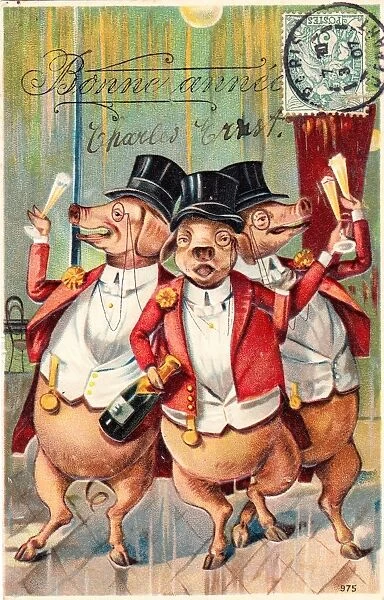 Three pigs celebrating on a French New Year postcard