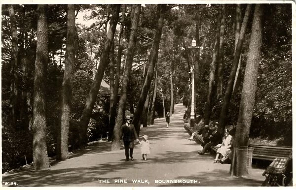 The Pine Walk, Bournemouth, Dorset