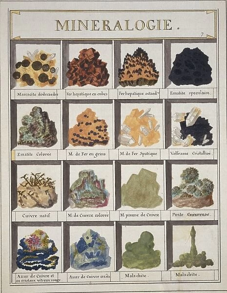 Plate 7a from Histoire naturelle? (1789)