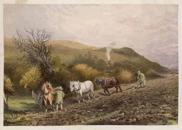 Plough with 3 Horses