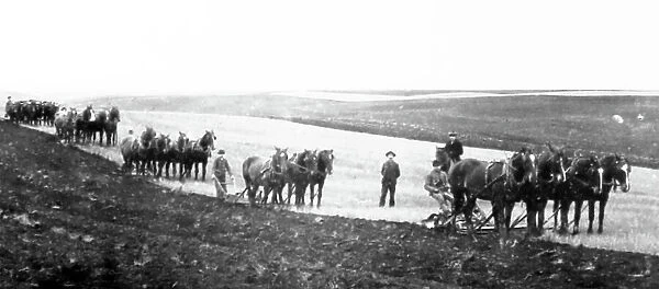 Ploughing on the Prairies, Canada