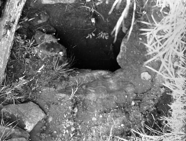 A poor view of a Souterrain in Muckamore