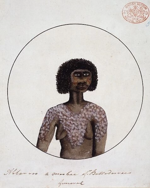 Portrait of an Aboriginal woman named Abbarroo, decorated fo