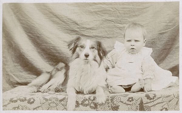 Portrait of baby and dog