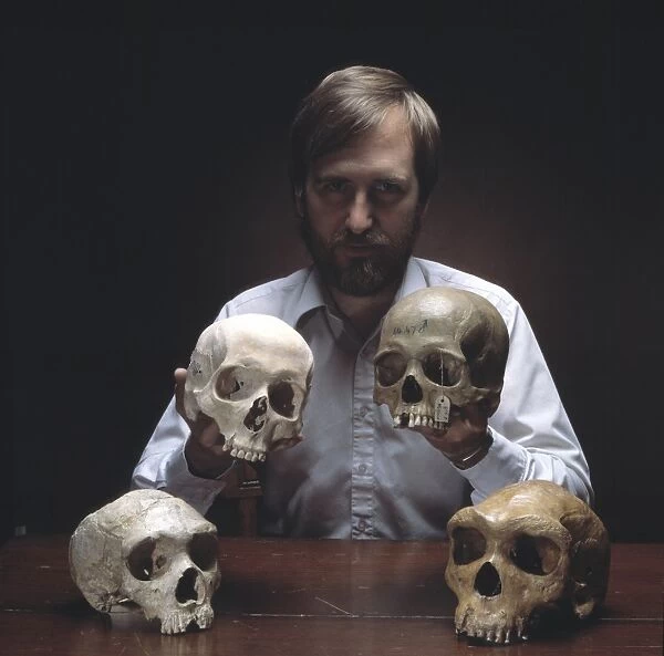 Professor Chris Stringer with four hominid skulls