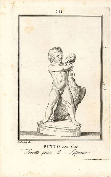 Putto or cherub with goose