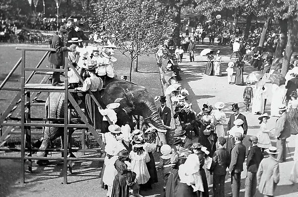 Queuing for elephant rides at a zoo, Victorian period