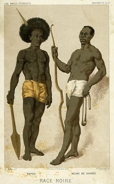 Racial Types  /  Papua New G