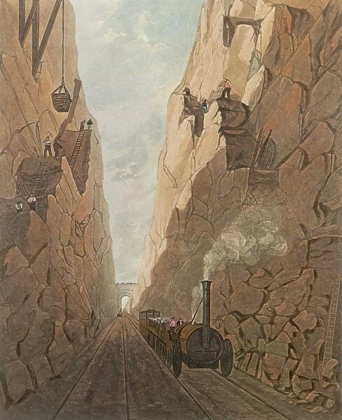 Rail  /  Olive Mount  /  1831