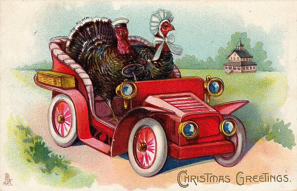 Red car with turkey couple on a Christmas postcard
