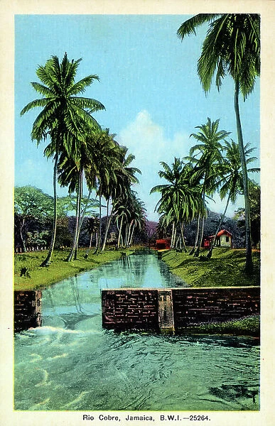 Rio Cobre River, Jamaica, West Indies