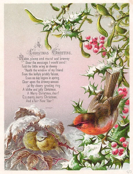 Robin and two great tits on a Christmas card