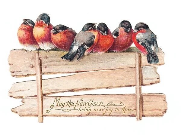 Robins perched on a fence on a cutout New Year card