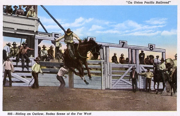 Rodeo scene at Cheyenne, Wyoming, USA