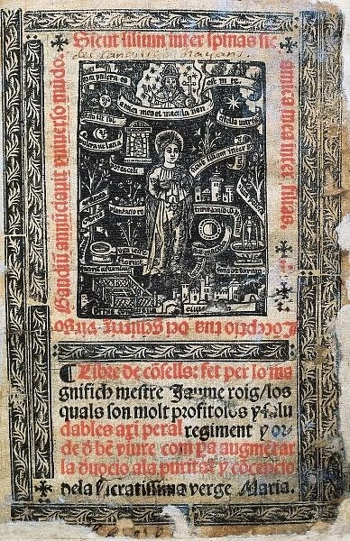 ROIG, Jaume ( -1478)