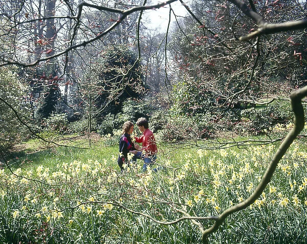 Romantic couple in spring flowers, West Country