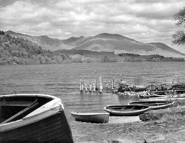 Scotland  /  Loch Awe