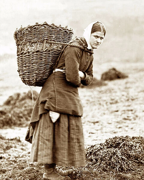 A Scottish crofter's peat basket Victorian period