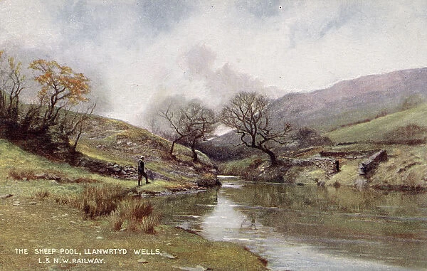 Sheep Pool, Llanwrtyd Wells, Wales