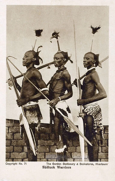 Three Shilluk Warriors of the Upper Nile, Sudan, Africa