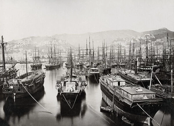 Ships in the port of Genoa Genova italy