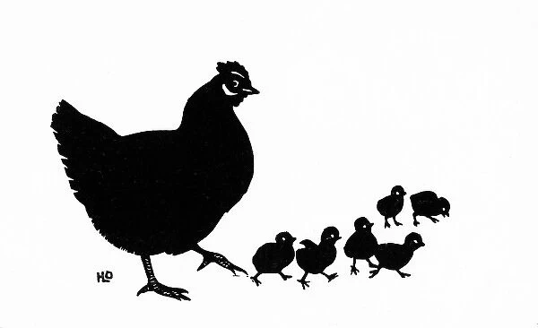 Silhouette of mother hen with six chicks