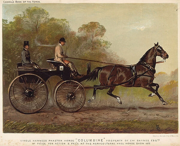 Single-harness phaeton driven by Mr Charles Baynes. Date: 1872