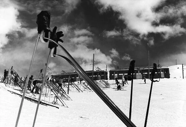 Ski Poles. Gloves. Skis