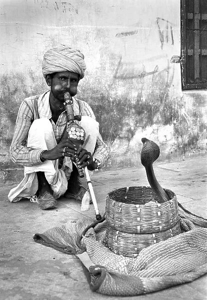 Snake charmer, Banares, India