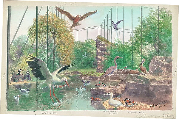 The Southern Aviary at London Zoo