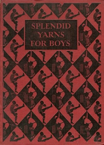 Splendid Yarns for Boys book cover