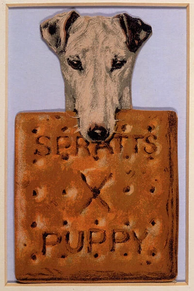 Spratts Dog Biscuits Ad